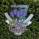 윤썬토퍼