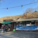 천안 아산 아기랑 갈만한 곳/피나클랜드 얼음 정원 눈꽃축제/눈썰매장 반려동물 입장 가능