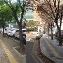 성동보건소 이미지