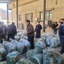 지리산청학농협 청암지점 이미지