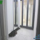 인천검단초등학교 이미지