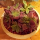 윤옥농장 이미지