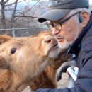 은경목장 이미지