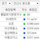 대기오염 사례연구 (개별보고서) 이미지