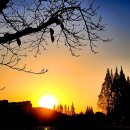 K행정사 이미지