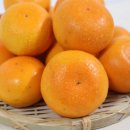 종남농장 이미지