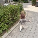 감성 아기옷 브랜드 빌리(bily) 가을 신상 후기