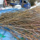 장전농장 이미지