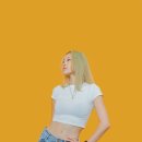 오마이펑키 이미지
