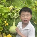 한나래유치원 이미지