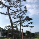 한옥펜션문 이미지