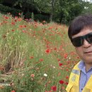 재향군인회 함양군지회 | 마포구재향군인회 하천정화 활동