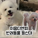 하나디앤피 네이버블로그