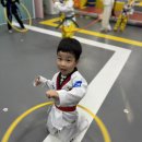 올림픽석사태권도 이미지