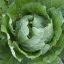 부곡주유소 이미지