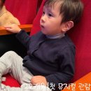 유찬식품 | [22개월] 첫 뮤지컬 관람, 성산아트홀 소극장(엄마 까투리)