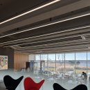 오리산단8로 | 당진 플라밍고CC 1인 조인 라운딩 후기｜겨울 골프 코스·컨디션 솔직 리뷰