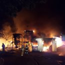 김포메추리농장 이미지