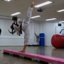 용인대 효 태권도장 이미지