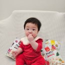 증도축산 | 유기농 아기쌀과자 가루날림 적은 로지오가닉 퍼프 아기과자