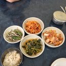 거창보리밥 | 의왕 나포칼국수 ❣️할머니 손맛 가득한 바지락칼국수집💕보리밥까지 주시네요!