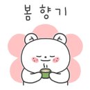 조이펫살롱 이미지