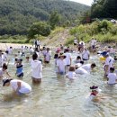 화롯불에 감자 굽고… 가재 잡고 보물 찾다영월 수주계곡축제 이미지