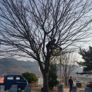 용주축산 이미지