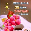 생생리얼수산시장 이미지