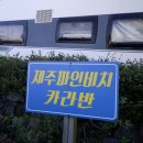 제주파인비치 카라반 이미지