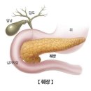 왼쪽으로 누워 자는것이 좋다[진창률님 추천] 이미지