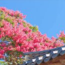 김면장군유적지 이미지