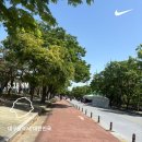 이마트24 달서두류점 | 대구 두류공원 러닝코스 초보 5키로 달서구 러닝코스 주차정보