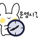도그마캣부평
