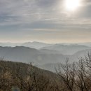 남산 - 강남구 삼성로 648 | 남산