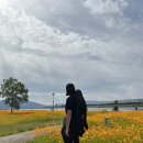 예쁨오