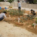 선린어린이집 이미지