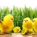 3 당구클럽 이미지