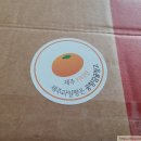 &#39;공항길 귤창고&#39; 카라향 10kg 구입 후기, 우리 집 봄날의 맛나는 과일로 &#39;제주명품 카라향&#39;으로~