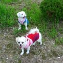 동이네집 이미지