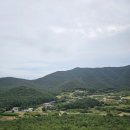 보길윤선도원림 | 완도 여행 후기(1) : 완도타워, 신리 명사십리 해수욕장, 보길도(윤선도 원림: 낙서재, 동천석실, 세연정)