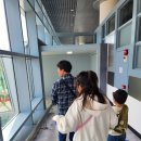 비즈 | 마카오 제주항공 비즈 라이트 후기 (좌석·기내식·가격비교)