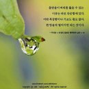 스마일재가센터 이미지