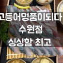 고등어명품이되다 이미지