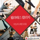 바우 필라앤피티 이미지