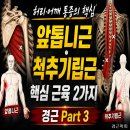 경근 Manual Therapy Part 3 | 허리·어깨 통증 핵심 근육 수요반 이론수업 이미지