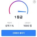 신용 이미지