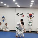 공명유도관 이미지