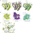 Re: HDACs, histone deacetylation and gene transcription: from molecular bio 이미지