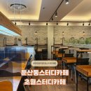 대전 둔산동스터디카페 카공족 취향 저격한 초월스터디카페 대전시청점 탄방점 연동이라 더 편해요